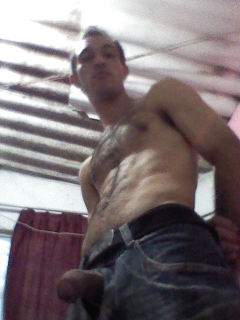 Meu pau
