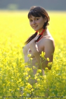 Fields