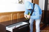 Thief In The House