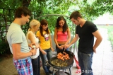 Violla, Rosa, Laska, Gregor, Filimon