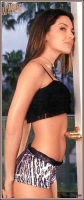 Hot Celebrity Babe Vanessa Marcil