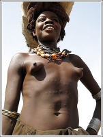 Nippel