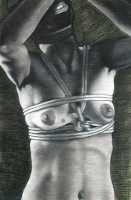 Bdsm drawings