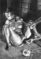 Bdsm drawings