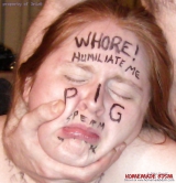 English pig