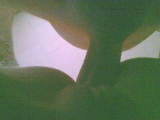 few pix for u