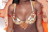 Caribana 2013