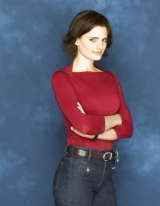 Stana Katic