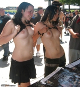 Lots of topless chicks