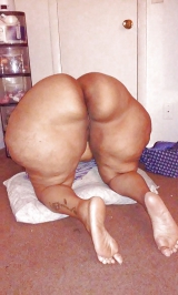 Puros Culos Enormes y Deliciosos