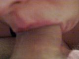 Sucking Maxs Cock