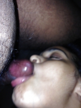 Sri Lankan Hooker