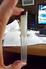Using A 5 Inch Long 14mm Diameter Plastic Tube As A Souond