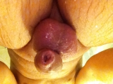 Hips and dicks