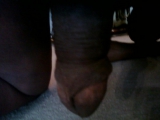 Gervis