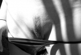 Belle petite chatte