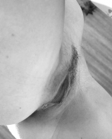Belle petite chatte