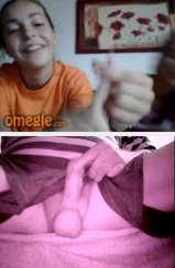 penis