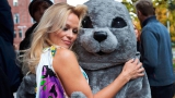 Blonde Big-tits Playboy Celebrity Model Pamela Anderson
