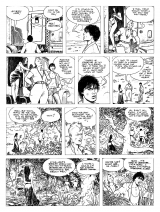 COMICS - SUPERHEROINES