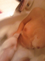 Bubbly teen nude selfies - home nudes selfshot gallery