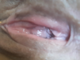 pussy