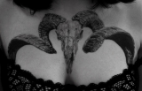 Porkodio e puttanamadonna - Porkgod and slutmotherofgod