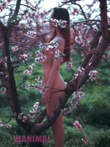 asian beauties and sex