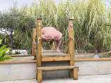je suis nu dans le jardin
