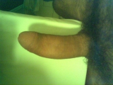Hard cock