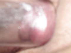 Pumping pussy - N