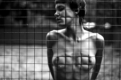 Captive 5 - N