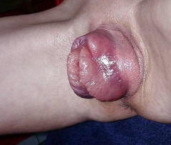Pussy Pump Mature - N