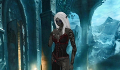 Dunkelelfe - N