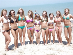 Facebook pig - bikini sluts 3 - N