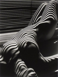Black and White Poses Found on the Web - N