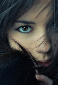 pic turmix - N