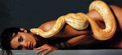 Snakey Girls - N