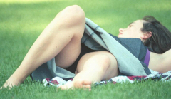 Babe - N