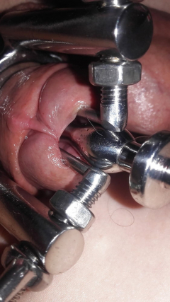 brutal pain cbt insertion bdsm - N