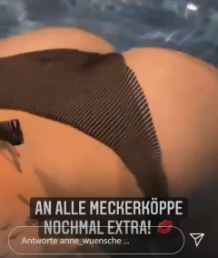 Anne Wuensche - N