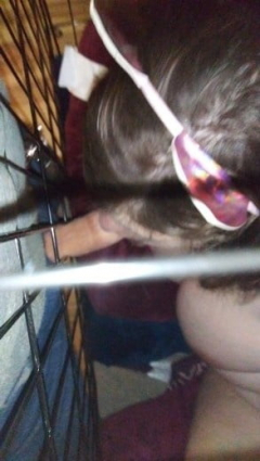 Daddy's pet slave - N