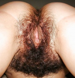 How do such amazing hairy pusses excite... - N