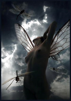 Ladies Of Fantasy - N