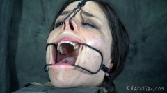 Mouth Lord - N