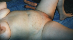 Mari nude album 2 - N