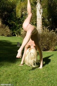 Les Femmes Flexible III - N