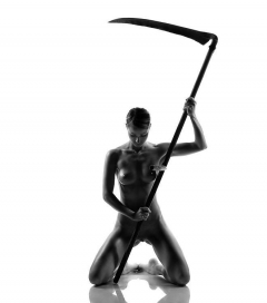 Art in Grey 1 - N