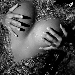 Art in Grey 2 - N