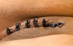 Fun Fear and Females 12 - N
